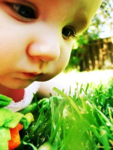 Baby examining grass